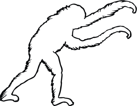 Orangutan Outline Coloring Page